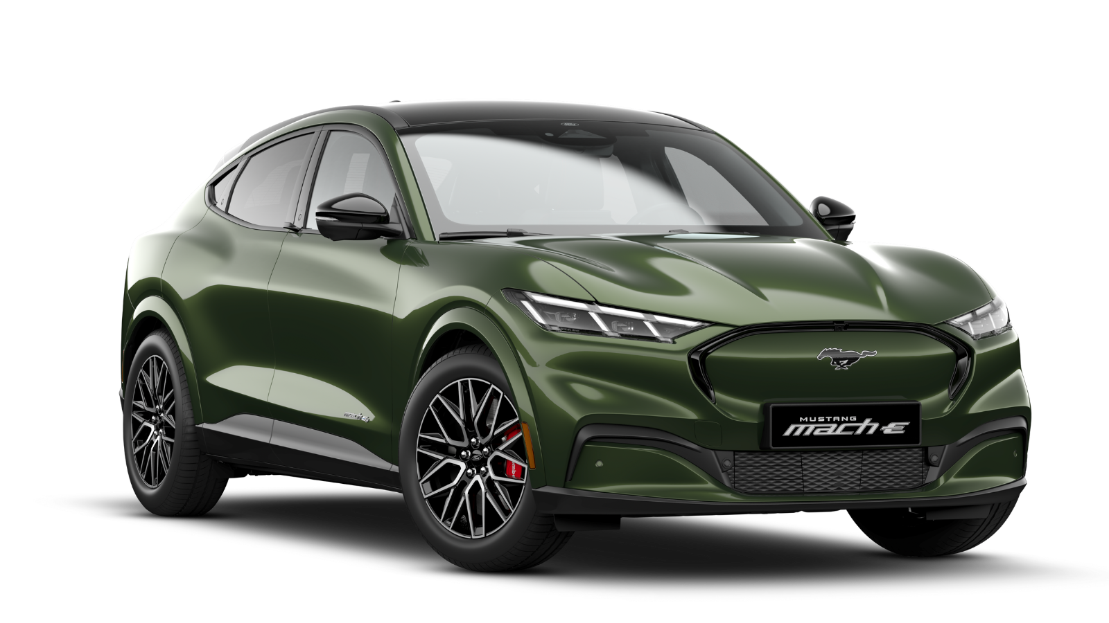 Ford Gia Lai chính hãng 3